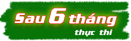 Sau 6 tháng