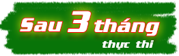 Sau 3 tháng thực thi