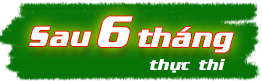 Sau 6 tháng thực thi Sau 6 tháng thực thi
