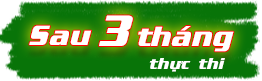 Sau 3 tháng thực thi