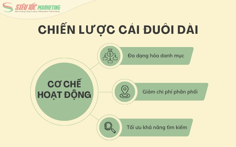 3 yếu tố chính thuộc mô hình cái đuôi dài