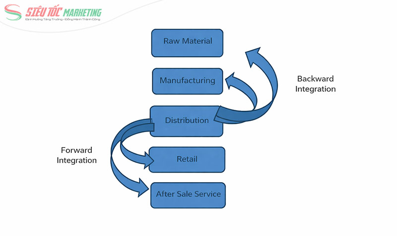 Chiến lược hội nhập về phía sau