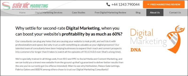 Công ty digital marketing DNA
