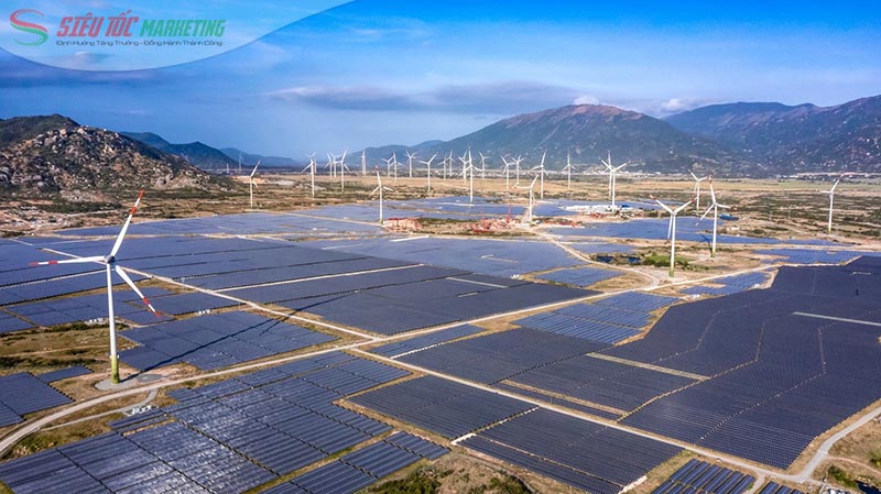 Hợp tác thực hiện các dự án Hợp tác thực hiện các dự án