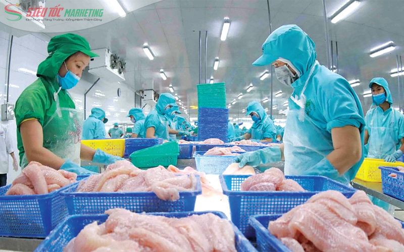 Tìm hiểu marketing ngành thủy sản là gì