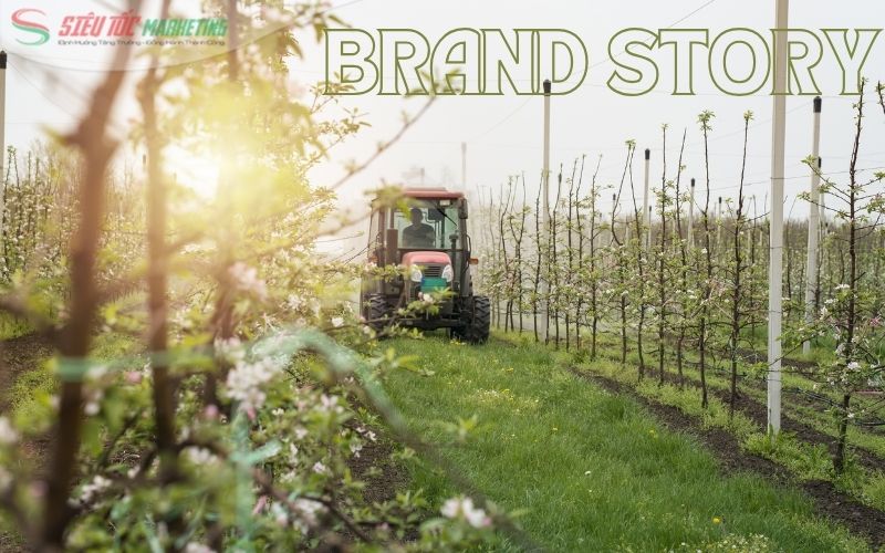 Marketing sản phẩm nông nghiệp bằng câu chuyện hành trình sản xuất