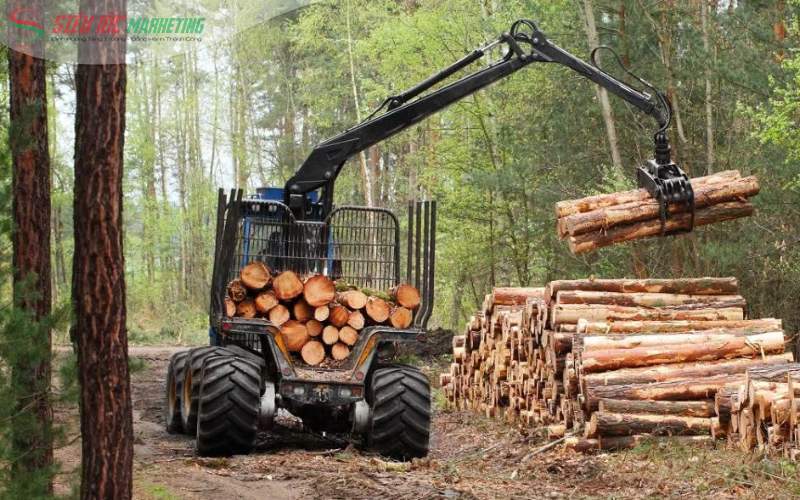 Thực trạng ngành gỗ tại Việt Nam