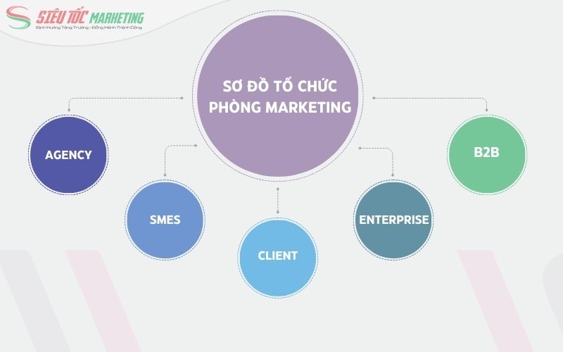 Sơ đồ tổ chức phòng marketing các loại hình doanh nghiệp phổ biến