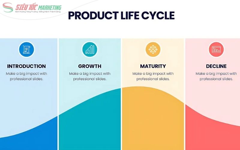 4 giai đoạn product life cycle