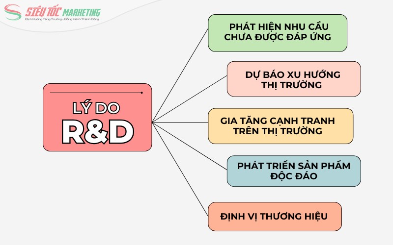 Lý do doanh nghiệp nên thực hiện nghiên cứu phát triển sản phẩm