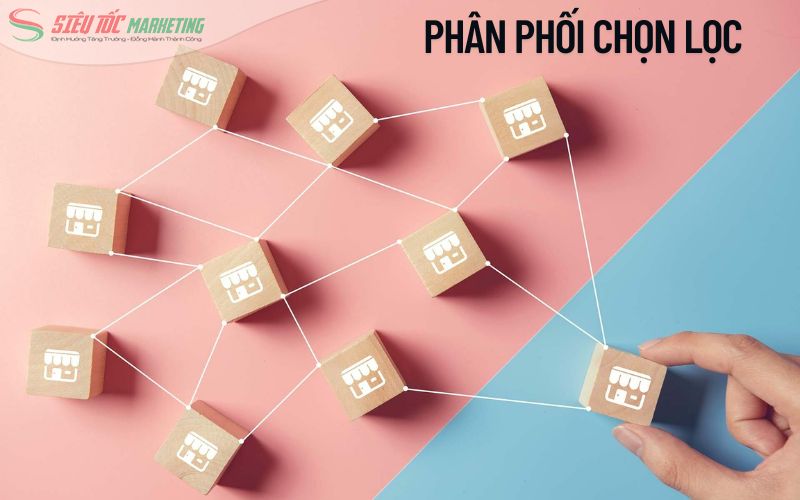 Phân phối chọn lọc (Selective Distribution) là gì