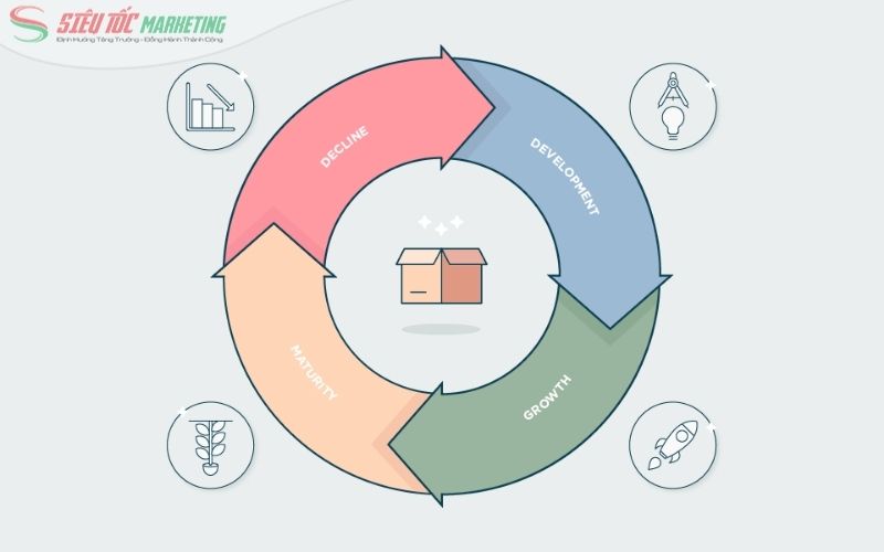 Tìm hiểu Product Life Cycle là gì