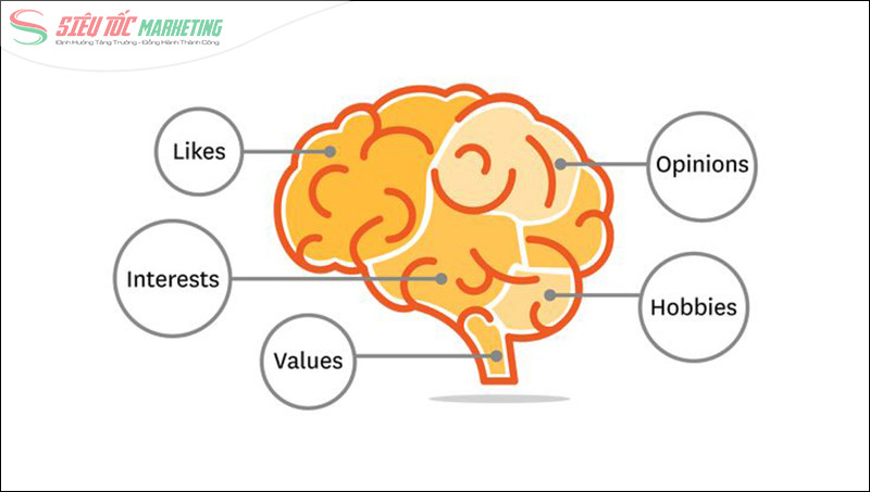 Tiêu thức tâm lý bao gồm các yếu tố như tính cách, giá trị, lối sống,... Tiêu thức tâm lý bao gồm các yếu tố như tính cách, giá trị, lối sống,...
