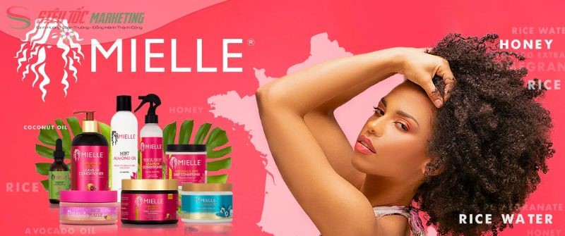 Ví dụ về định vị sản phẩm thương hiệu Mielle Organics